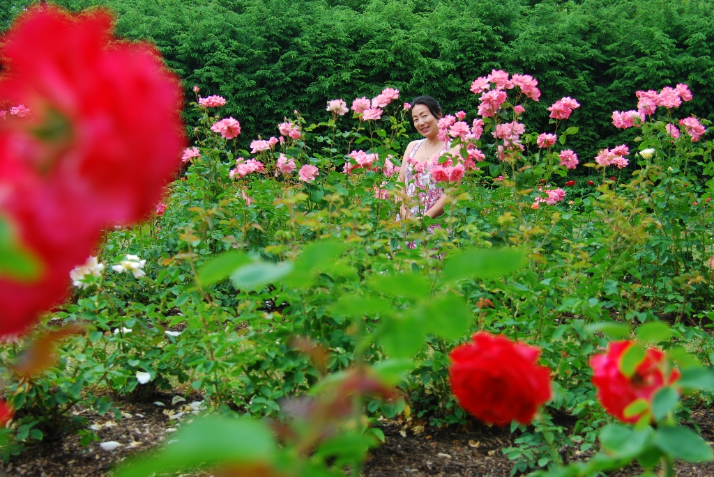 DSC_1569.JPG